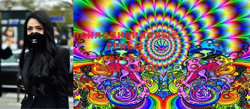 OMG   дарк нет состав  Галлюциногенные грибы MAGIC MUSHROOMS  Данков 